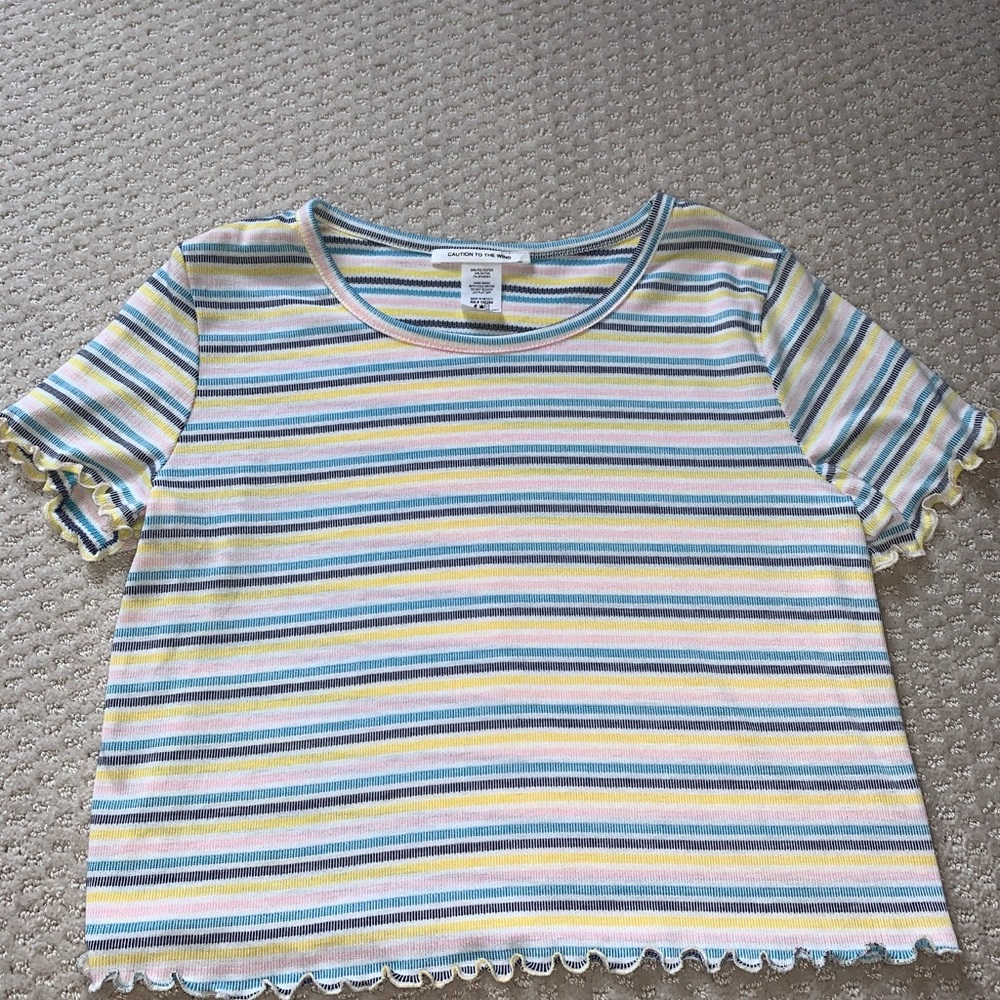 Caution to the Wind striped crop top